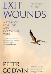 Exit Wounds (Peter Godwin)