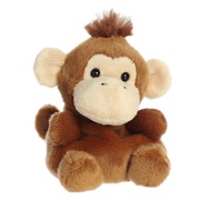 Boomer Monkey