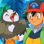 481. a Staravia Is Born!