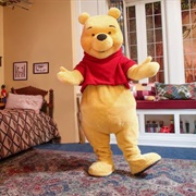 Meet Winnie the Pooh