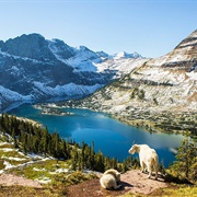 Glacier National Park, USA