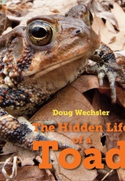 The Hidden Life of a Toad (Doug Wechsler)