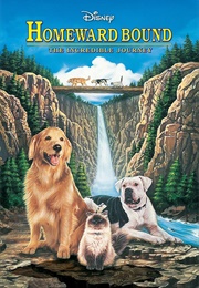 Homeward Bound: The Incredible Journey (1993)