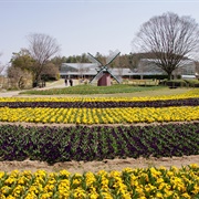 Kasai, Hyogo, Japan