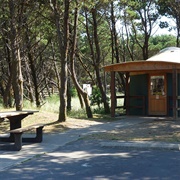 Grayland Beach State Park, Washington