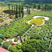 Dole Plantation, Hawaii