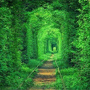 Tunnel of Love, Ukraine