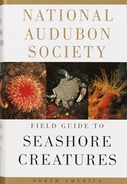 National Audubon Society Field Guide to North American Seashore Creatures (Norman A. Meinkoth)