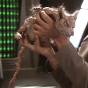 Cardassian Vole