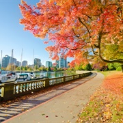 Stanley Park, Canada