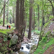 Lime Kiln Trail