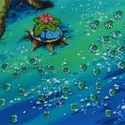 51. Bulbasaur&#39;s Mysterious Garden