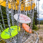 Play Disc Golf in a Different State