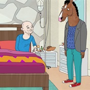 Bojack Horseman: &quot;The Telescope&quot; (S1,E8)