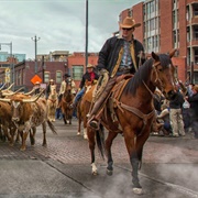 National Stock Show, Colorado