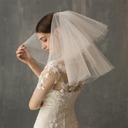 Shoulder Length Veil With Wedding Dress