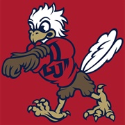 Liberty Flames