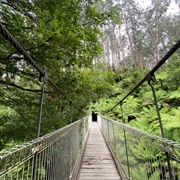 Corrigan Suspension Bridge