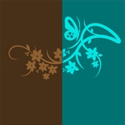 Brown / Teal