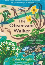 The Observant Walker (John Wright)