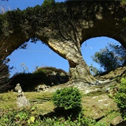 Meganeiwa, Sasebo