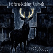 Pattern Seeking Animals - Only Passing Through