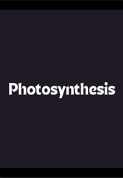 Photosynthesis (2005)