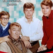 My Three Sons Season 7