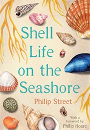Shell Life on the Seashore (Philip Street)