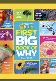 First Big Book of Why (Amy Shields)