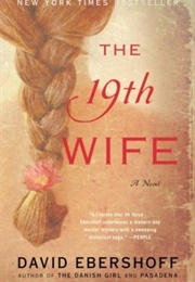 A Mystery Novel (The 19th Wife)