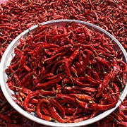 Hot Spices