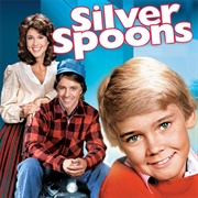 Silver Spoons Season 1