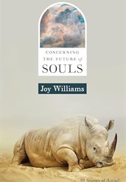 Concerning the Future of Souls (Joy Williams)