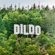 Giant City Sign in Dildo, Newfoundland, Canada