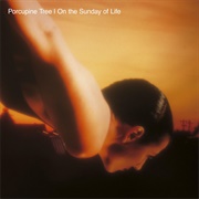 Radioactive Toy - Porcupine Tree