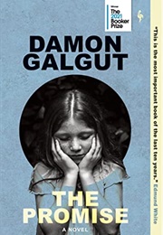 The Promise: A Novel (Galgut, Damon)