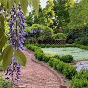 Dumbarton Oaks Gardens, DC