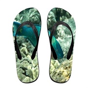 Beach Paradise Slippers