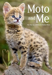 Moto and Me: My Year as a Wildcat&#39;s Foster Mom (Suzi Eszterhas)