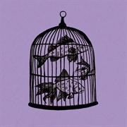 Fish in a Birdcage - Waterfall