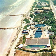 Marineland, Florida // Population 15