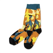 Charizard Socks