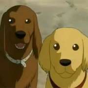 S17.E10: The Famous Dog&#39;s Cool Achievement