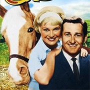 Mister Ed Season 5