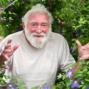 David Bellamy