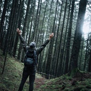 Go on a Forest Bathing Walk