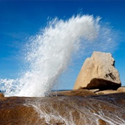 Bicheno Blowhole