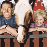 Mister Ed Season 3