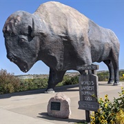 World&#39;s Largest Buffalo, North Dakota